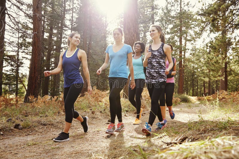 Grupa kobieta biegacze chodzi w lasowy opowiadać, zamyka up