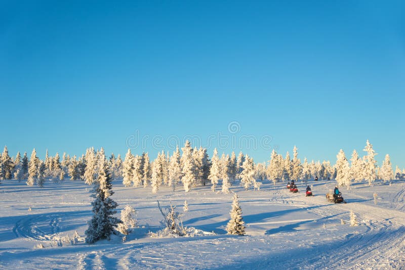 Grupa snowmobiles w Lapland, blisko Saariselka Finlandia obraz stock Grupa snowmobiles w Lapland, blisko Saariselka Finlandia obraz stock