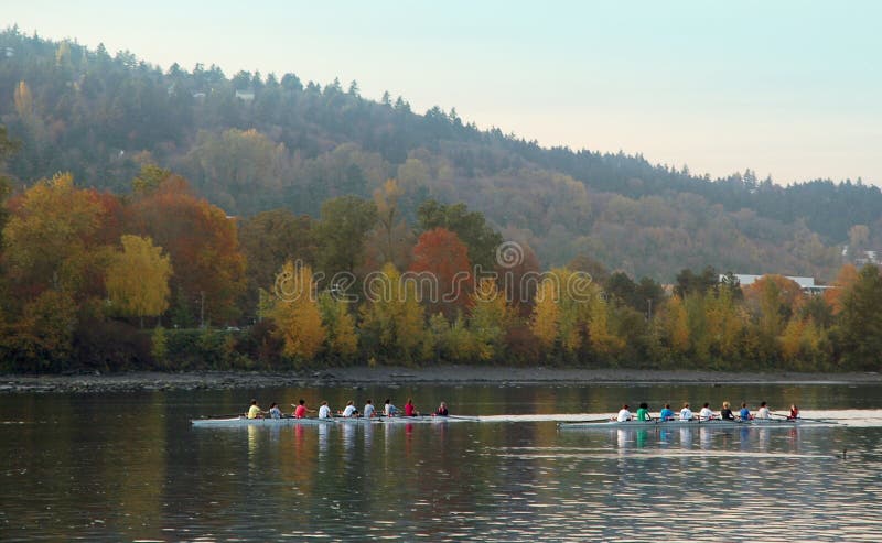 Tripulação imagem de stock royalty free