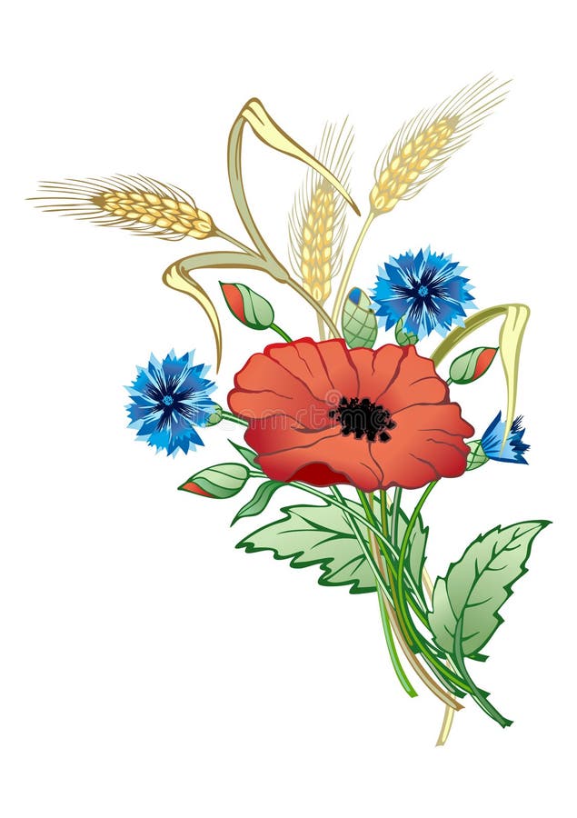 Grupo das flores selvagens ilustração royalty free Grupo das flores selvagens ilustração royalty free