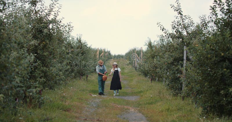 Grupo de agricultores caminhando com cesta no jardim de pêssego