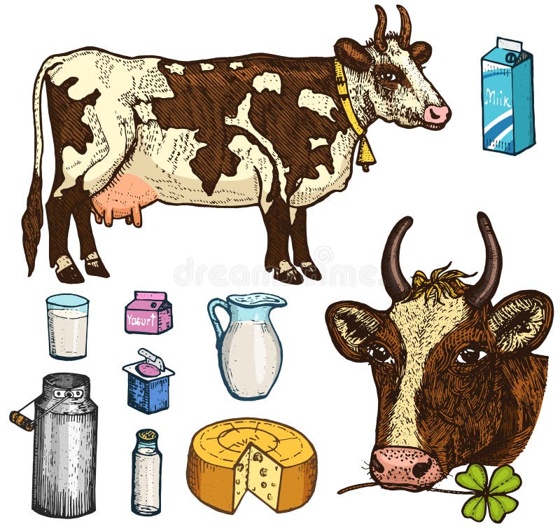 Vetores de Grande Jogo De Silhuetas Do Gado Vaca Touro Frango Galo Porco  Cabra e mais imagens de Gado de leite - iStock