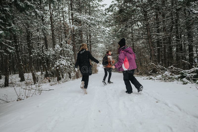Grupo de amigos disfrutando de una naturaleza nevada paseando por un pintoresco bosque de invierno fotos de archivo libres de regalías