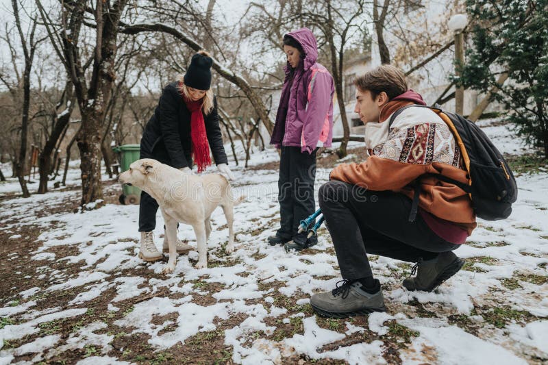 Grupo de amigos interactuando con un perro durante un paseo por un parque de nieve imagen de archivo