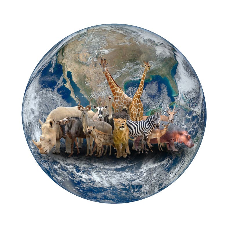 Grupo De Animal De África Com Terra Do Planeta Foto de Stock - Imagem de manchado, branco: 54701446 Grupo De Animal De África Com Terra Do Planeta Foto de Stock - Imagem de manchado, branco: 54701446