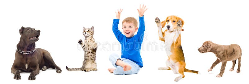 Group of a cheerful pets and child together. Group of a cheerful pets and child together