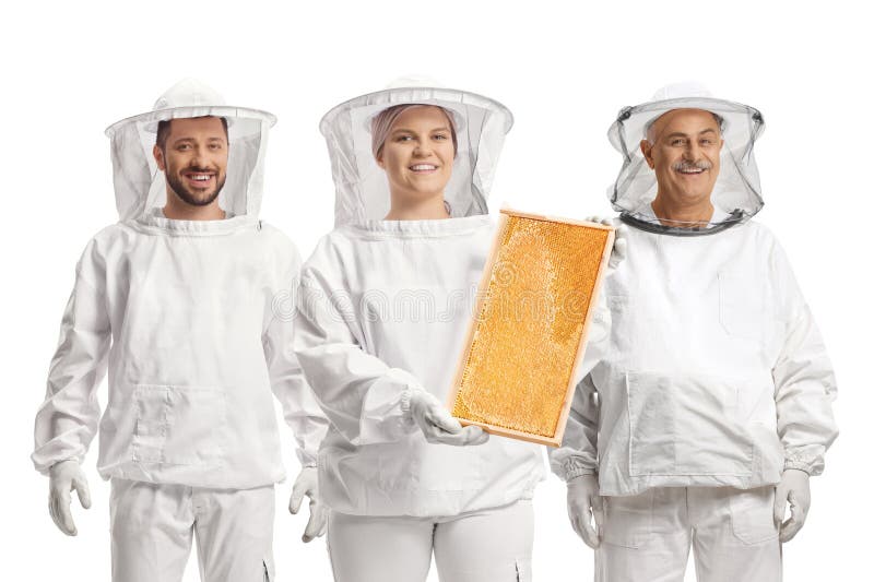 Grupo de apicultores de abejas con marco de abeja foto de archivo