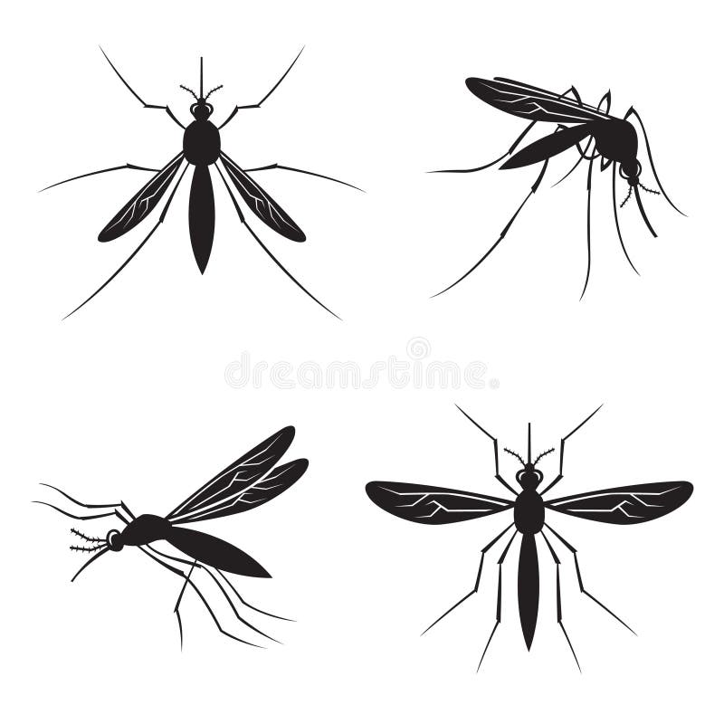 Grupo de mosquito ilustração royalty free Grupo de mosquito ilustração royalty free
