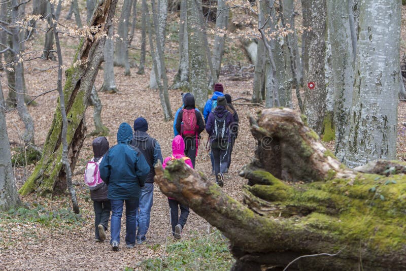 Grupo de jovens a caminhar fotos de stock