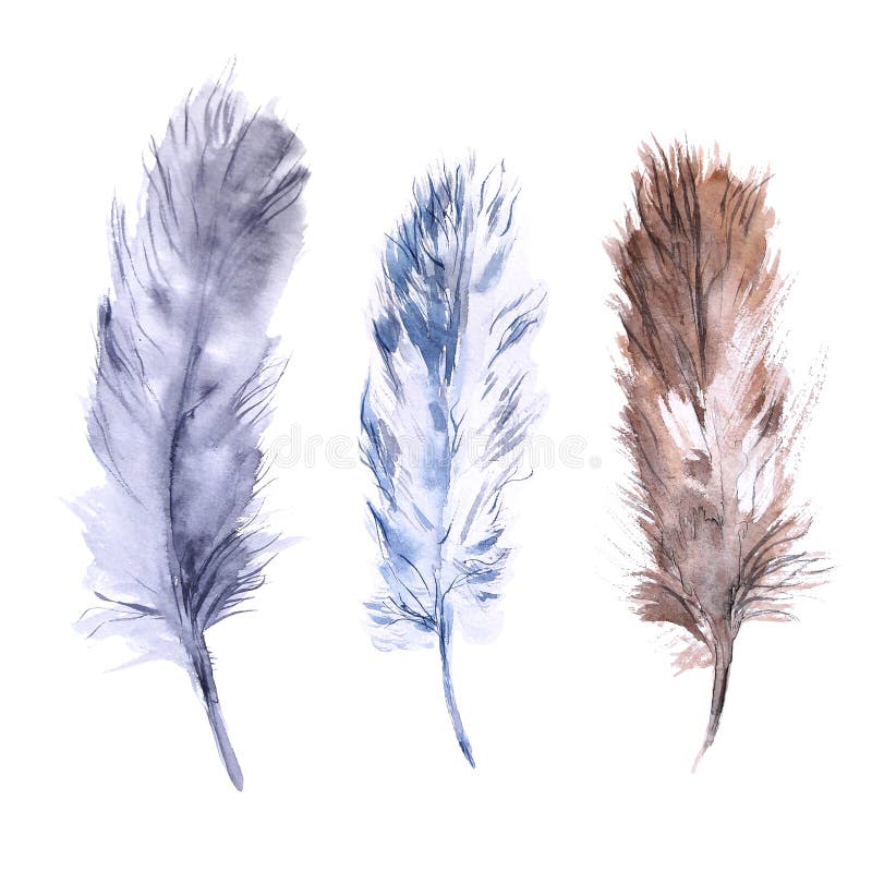 Grupo de penas da aquarela Elementos pintados ? m?o isolados no branco ilustração stock Grupo de penas da aquarela Elementos pintados ? m?o isolados no branco ilustração stock