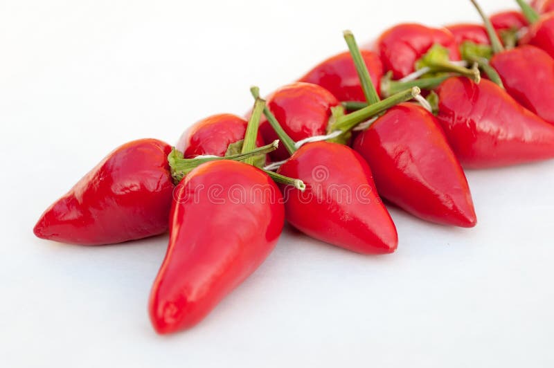 Grupo de pimientas de chiles candentes frescas en un fondo blanco imagen de archivo Grupo de pimientas de chiles candentes frescas en un fondo blanco imagen de archivo