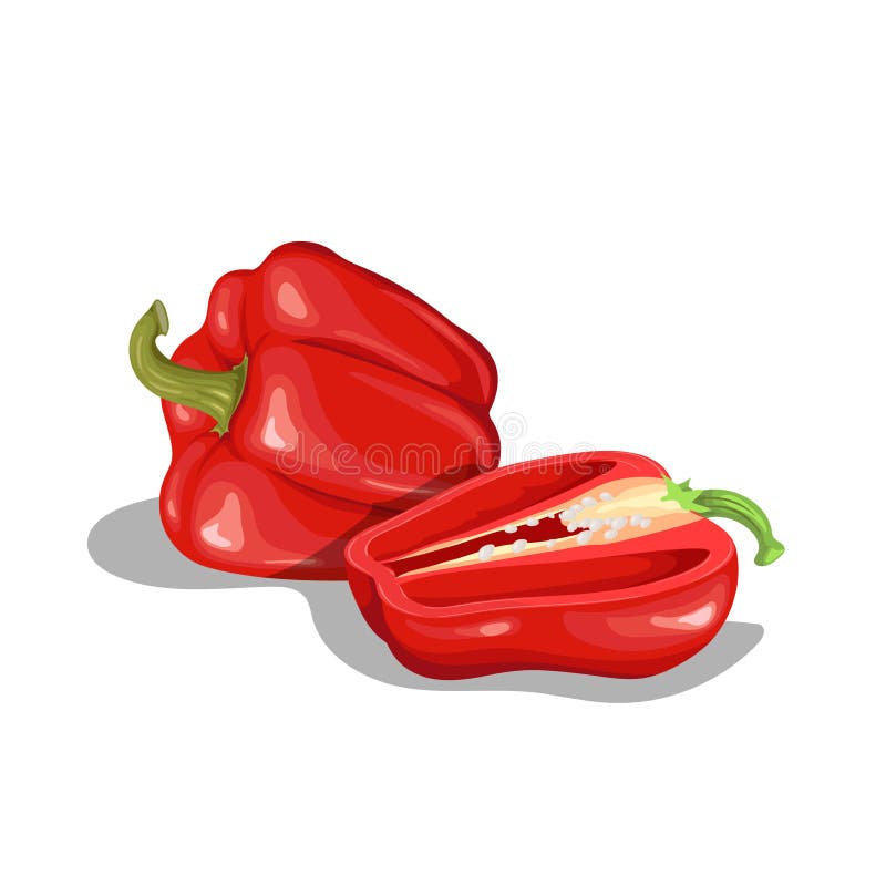 Grupo de pimientos rojos frescos. icono de dibujo plano. ilustración vectorial de pimientos rojos enteros y a la mitad. verduras d stock de ilustración