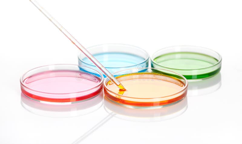 Petri dishes with a colored liquids, isolated. Petri dishes with a colored liquids, isolated