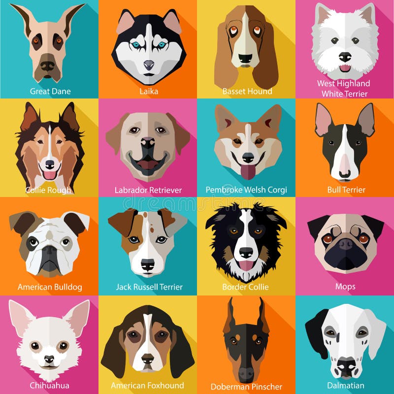 Grupo de raças populares lisas de ícones dos cães