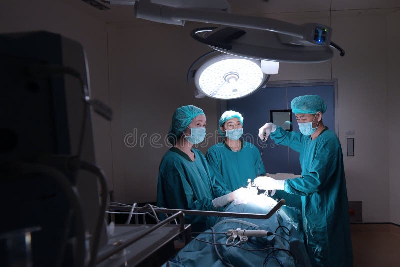 Grupo de sitio en funcionamiento de la cirugía veterinaria para laparoscopic imágenes de archivo libres de regalías Grupo de sitio en funcionamiento de la cirugía veterinaria para laparoscopic imágenes de archivo libres de regalías