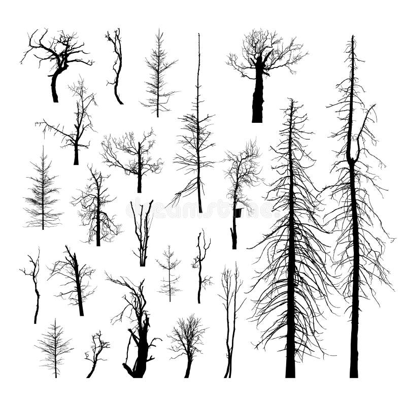 Grupo de árvores inoperantes