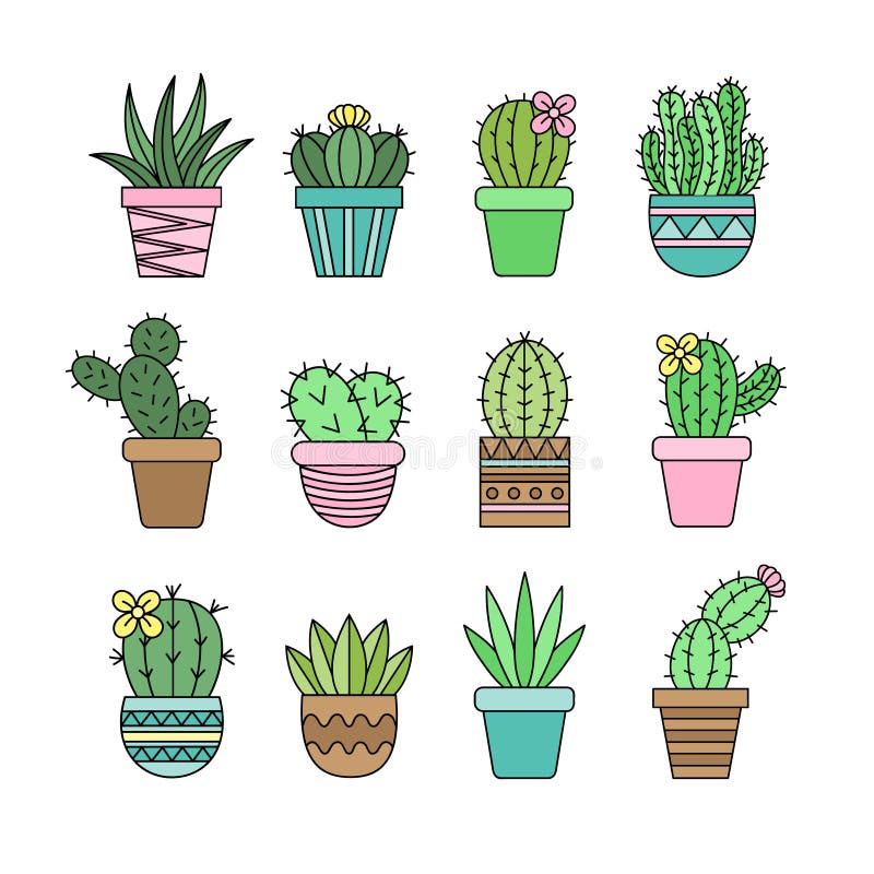 Ícone De Ilustração Do Vetor De Planta Do Cactus Ilustração do Vetor -  Ilustração de decorado, liso: 161261048