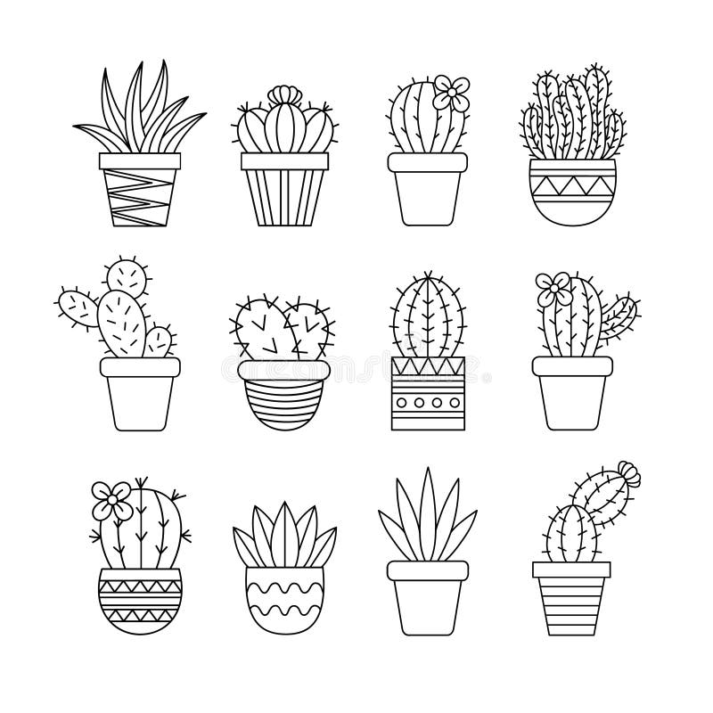 Ícone De Ilustração Do Vetor De Planta Do Cactus Ilustração do Vetor -  Ilustração de decorado, liso: 161261048