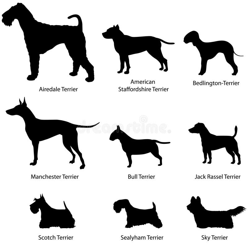 Dogs set. Collection of silhouette of pet. Dogs set. Collection of silhouette of pet