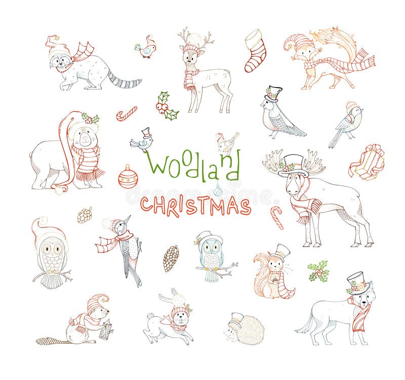 Grupo do Natal da floresta ilustração royalty free Grupo do Natal da floresta ilustração royalty free