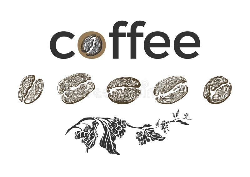 Grupo do ramo do café, feijões no fundo branco Coleção do vetor esboço ilustração royalty free Grupo do ramo do café, feijões no fundo branco Coleção do vetor esboço ilustração royalty free