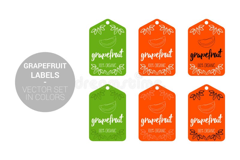 Grupo do vetor das etiquetas de Eco do fruto da toranja em cores verdes, alaranjadas ilustração stock Grupo do vetor das etiquetas de Eco do fruto da toranja em cores verdes, alaranjadas ilustração stock