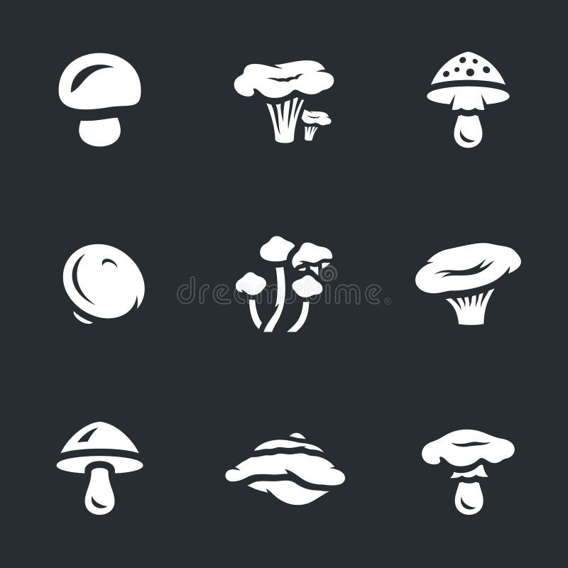 Grupo do vetor de cogumelos ilustração do vetor Grupo do vetor de cogumelos ilustração do vetor