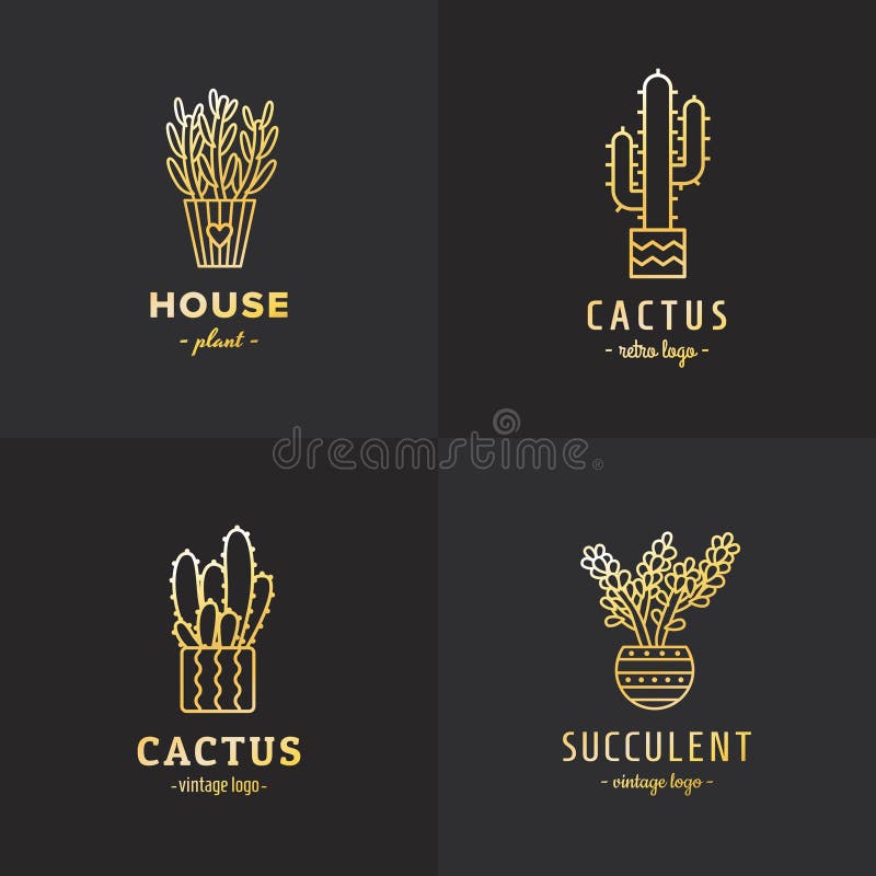 Grupo do vetor do ouro das plantas carnudas e dos cactos Parte uma ilustração do vetor Grupo do vetor do ouro das plantas carnudas e dos cactos Parte uma ilustração do vetor