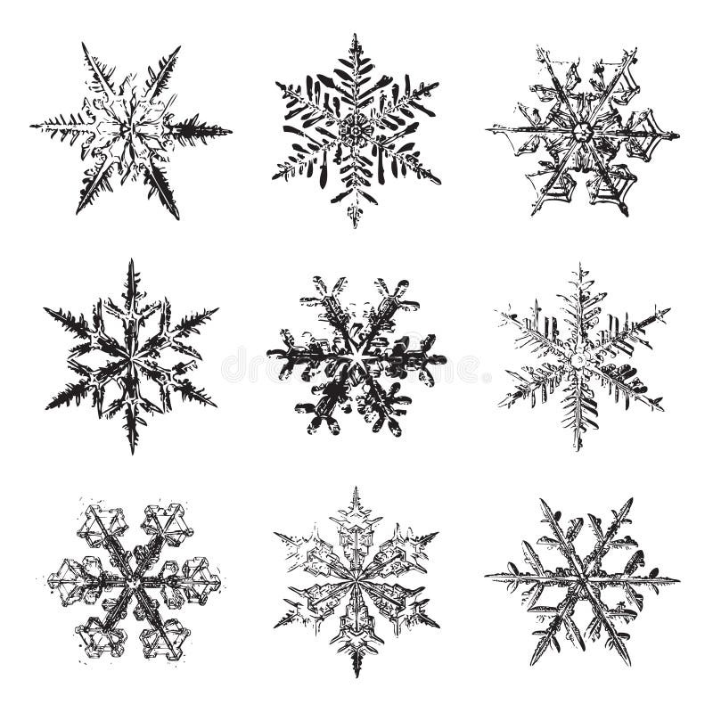 Grupo do vetor dos flocos de neve, silhuetas do clipart da ilustração ilustração do vetor Grupo do vetor dos flocos de neve, silhuetas do clipart da ilustração ilustração do vetor