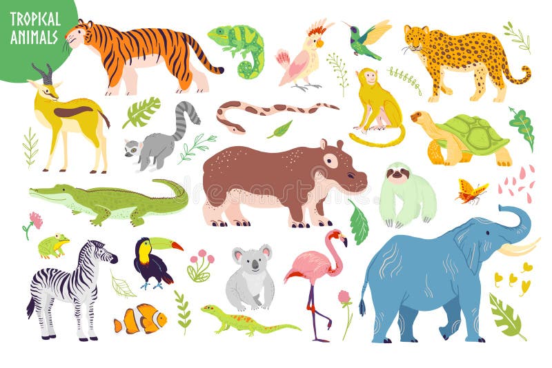 Grupo do vetor mão lisa de animais tropicais tirados, pássaros, répteis, plantas isoladas no fundo branco: tigre, zebra, coala, a ilustração do vetor Grupo do vetor mão lisa de animais tropicais tirados, pássaros, répteis, plantas isoladas no fundo branco: tigre, zebra, coala, a ilustração do vetor