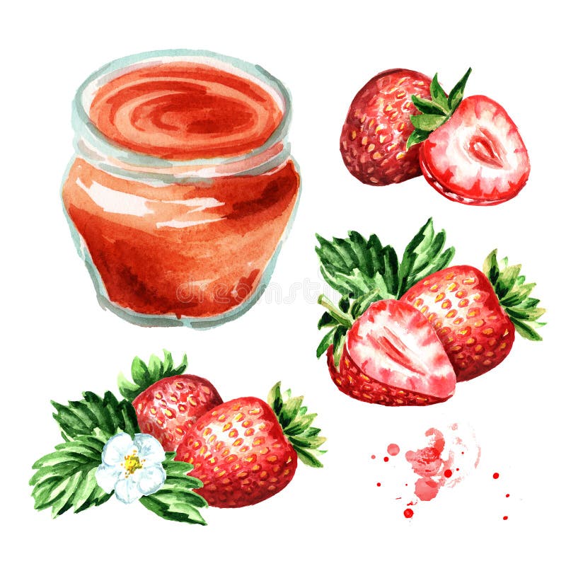 Grupo orgânico do doce do fruto Frasco de vidro do doce de fruta do strawbery e dos frutos frescos isolados no fundo branco Illu ilustração do vetor Grupo orgânico do doce do fruto Frasco de vidro do doce de fruta do strawbery e dos frutos frescos isolados no fundo branco Illu ilustração do vetor