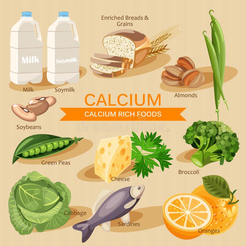 Grupos de fruto, de vegetais, de carne, de peixes saudáveis e de produtos láteos contendo vitaminas específicas cálcio Grupos de ilustração do vetor Grupos de fruto, de vegetais, de carne, de peixes saudáveis e de produtos láteos contendo vitaminas específicas cálcio Grupos de ilustração do vetor