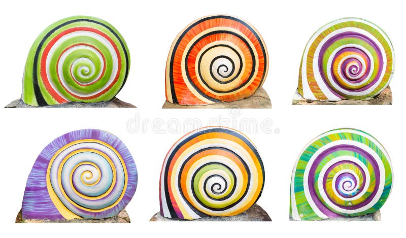 Group of colorful cocnrete gastropod isolate on white background . Group of colorful cocnrete gastropod isolate on white background .