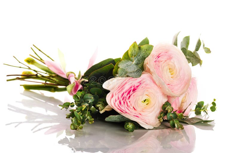 grupp av gränsen - rosa ranunculus royaltyfri foto grupp av gränsen - rosa ranunculus royaltyfri foto