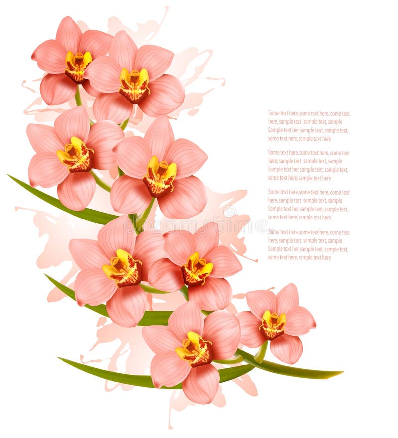 Grupp av härliga rosa orkidéblommor royaltyfri illustrationer