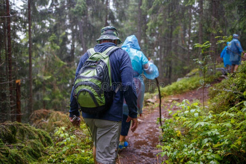 Grupp av höga turister som fotvandrar i regnig skog royaltyfria bilder Grupp av höga turister som fotvandrar i regnig skog royaltyfria bilder
