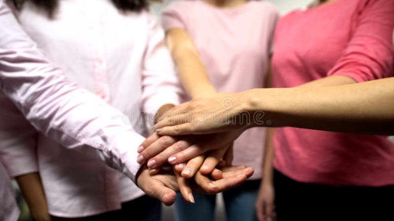 Grupp av kvinnor i rosa skjortor som tillsammans s?tter h?nder, j?mst?lldhet, feminism royaltyfria foton Grupp av kvinnor i rosa skjortor som tillsammans s?tter h?nder, j?mst?lldhet, feminism royaltyfria foton