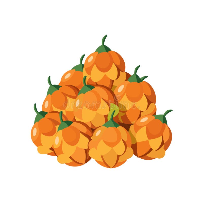 Grupp av orangefärgade orangefält med gröna stammar vektor illustrationer