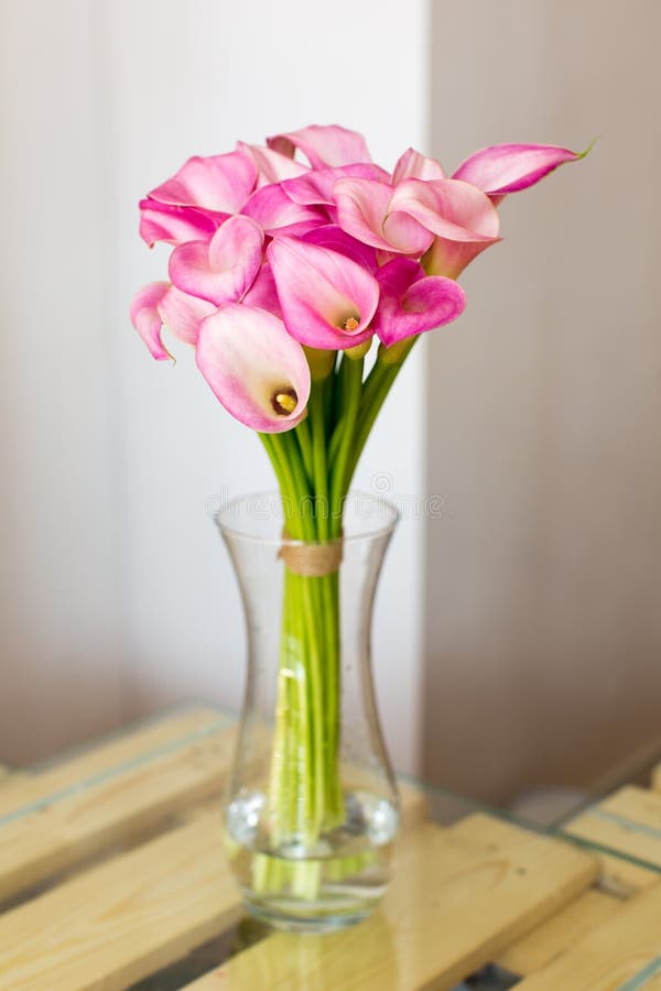Grupp av rosa callas i vasen royaltyfri fotografi Grupp av rosa callas i vasen royaltyfri fotografi