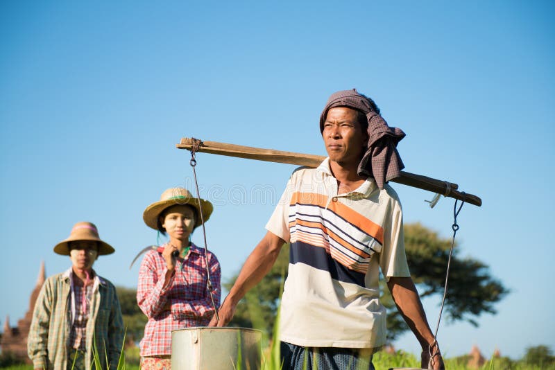 Grupp av traditionella asiatiska bönder arkivbild Grupp av traditionella asiatiska bönder arkivbild