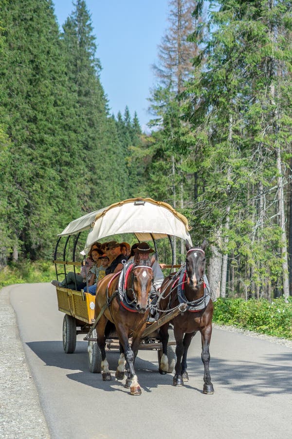 Grupp av turister på hästvagnen på väg till Morskie Oko-sjön bokstavligen `Sea Eye`, High Tatra Mountains nära Zakopane. arkivbild Grupp av turister på hästvagnen på väg till Morskie Oko-sjön bokstavligen `Sea Eye`, High Tatra Mountains nära Zakopane. arkivbild