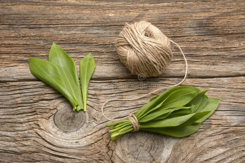 Grupp för Ramson björnvitlök som binds med repet på gammal träbakgrund royaltyfri foto Grupp för Ramson björnvitlök som binds med repet på gammal träbakgrund royaltyfri foto