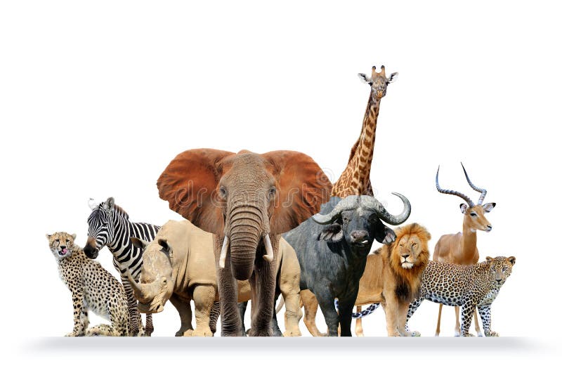 Gruppe afrikanische Safaritiere zusammen