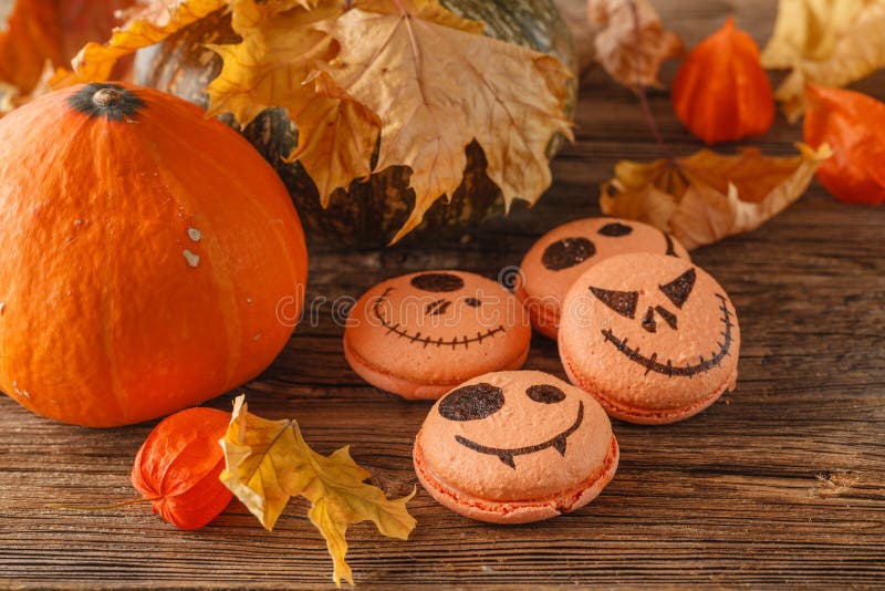 Gruppe Halloween-Minikürbises formte Torten, obenliegende Szene auf r stockfotos Gruppe Halloween-Minikürbises formte Torten, obenliegende Szene auf r stockfotos
