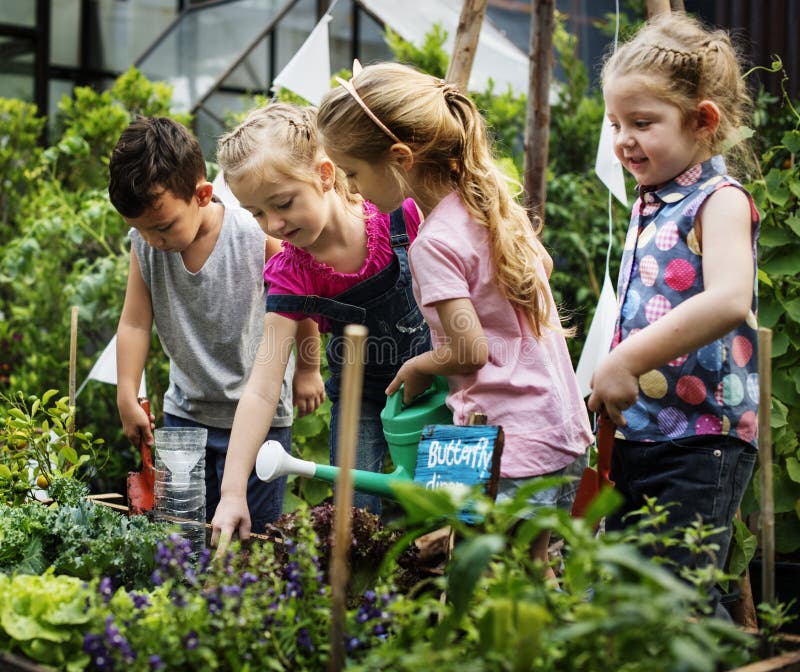 Gruppe Kindergartenkinder, die draußen im Garten arbeiten lernen lizenzfreie stockfotografie Gruppe Kindergartenkinder, die draußen im Garten arbeiten lernen lizenzfreie stockfotografie