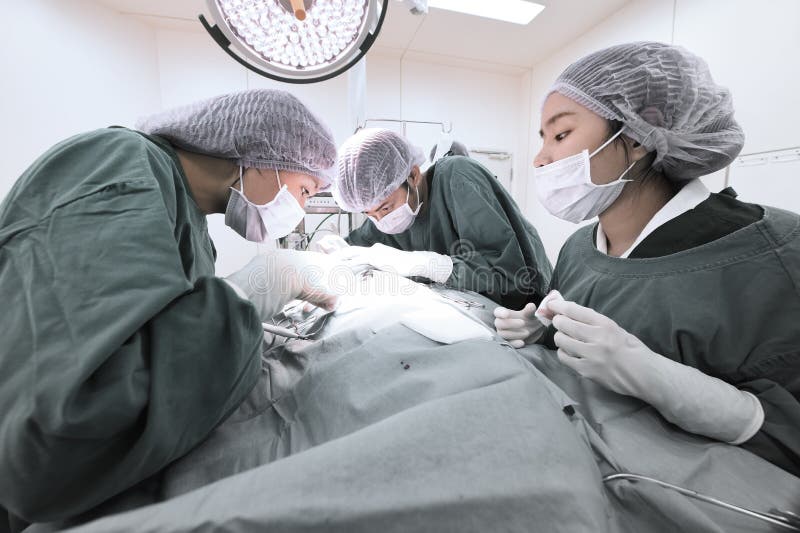 Gruppe Raum der tierärztlichen Chirurgie in Kraft stockfotos Gruppe Raum der tierärztlichen Chirurgie in Kraft stockfotos