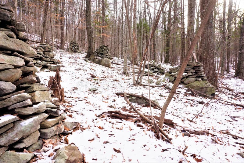 Gruppen av övergav rösen i Catskill parkerar arkivfoto Gruppen av övergav rösen i Catskill parkerar arkivfoto