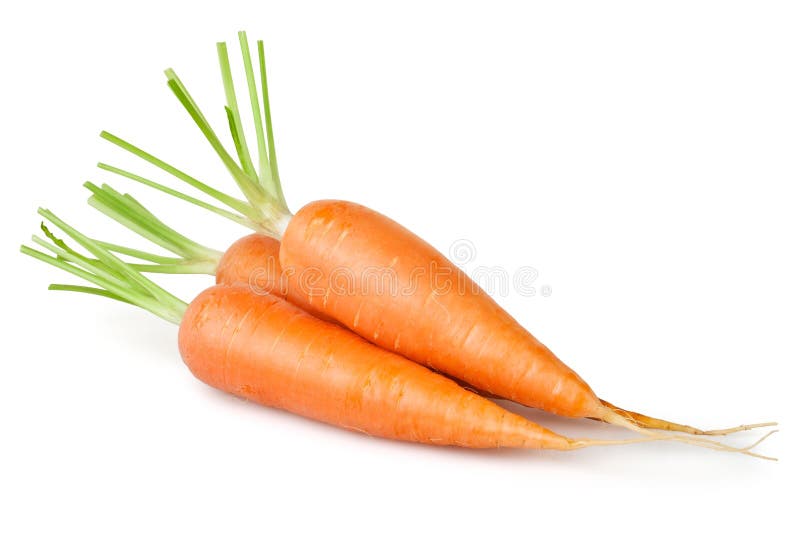 Gruppo della carota fotografie stock libere da diritti Gruppo della carota fotografie stock libere da diritti