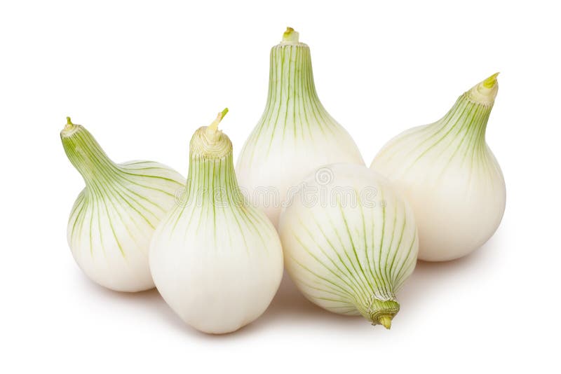 Gruppo di cipolle bianche fotografia stock