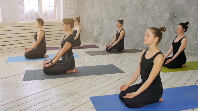 Gruppo di giovani donne che praticano yoga, sedentesi sulla stuoia di yoga immagine stock Gruppo di giovani donne che praticano yoga, sedentesi sulla stuoia di yoga immagine stock